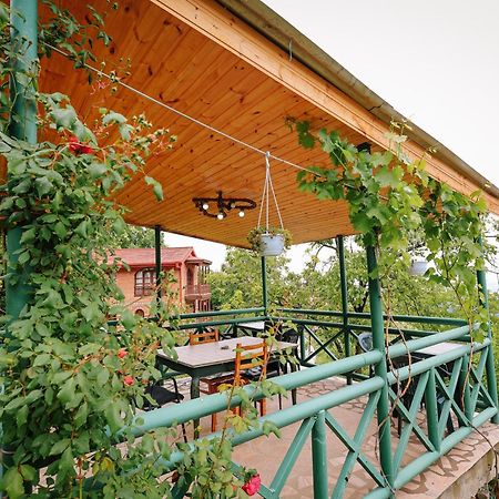 Отель Sighnaghi Garden House Экстерьер фото